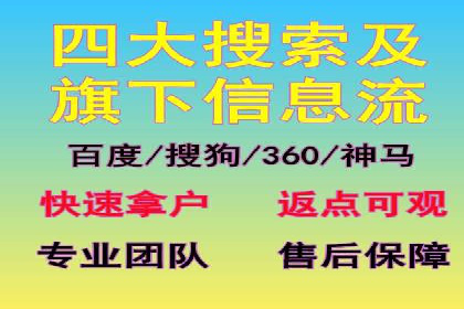 SEM代运营机构成功案例：优化策略与效果分析